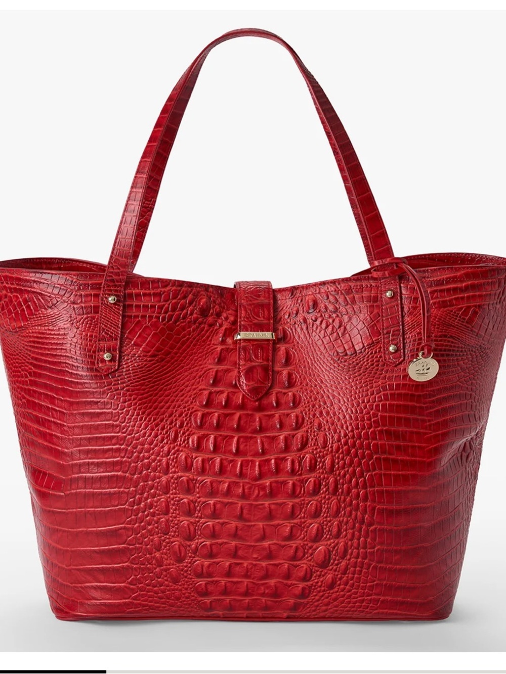 Brahmin Leather Tote Bag